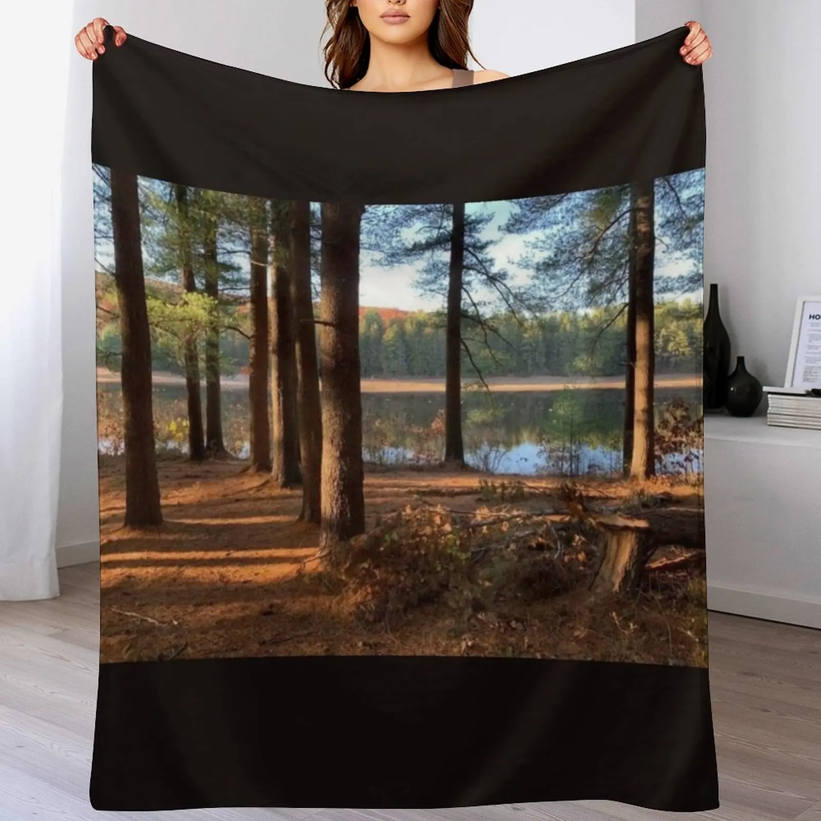 Одеяло Maxfield Parrish Landscape Photograph от Ellen Barton Harriman роскошные тонкие одеяла