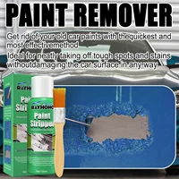 100ml paint strippers liquid with brush for automobile motorcycle car strong paint stripper remover for metal fast effective