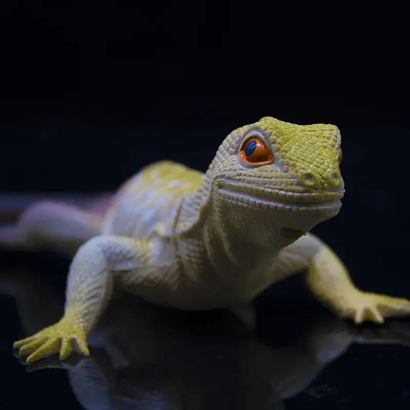 

Simulated lizard toy animal model chameleon gecko soft rubber children kneading and calling plastic animal toy