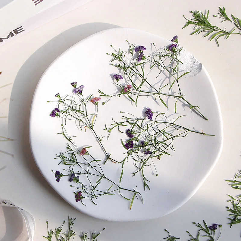 

120 шт., цветочный гербарий для смолы