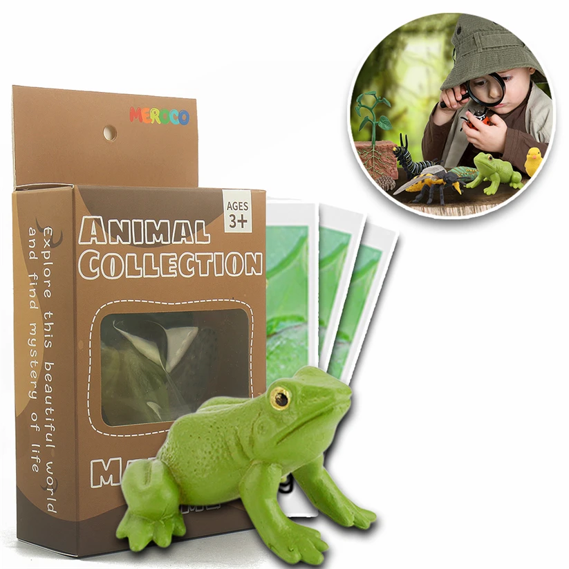 

Montessori Animal Life Cycle Montessori Sensory Material Biology Science Learning Games For Kids 2 To 4 Years Old A44W