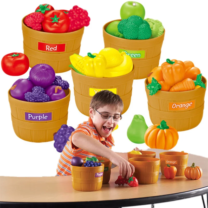 

Simulation Play Fruit Vegetable Kitchen Classification Game Color Recognition Cognitive Teaching Aids for Children 0+ Years Old