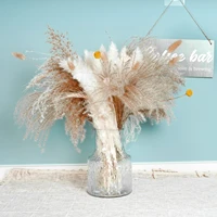3040pcslot white pampas grass fluffy room phragmites decoration natural bunny tail grass dried flowers bouquet boho home decor