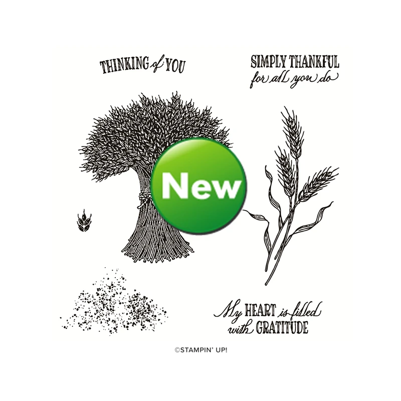

Latest Autumn 2022 Catalog Cutting Dies Clear Stamp Scrapbooking For Paper Making Harvest Grateful Embossing Frame Card