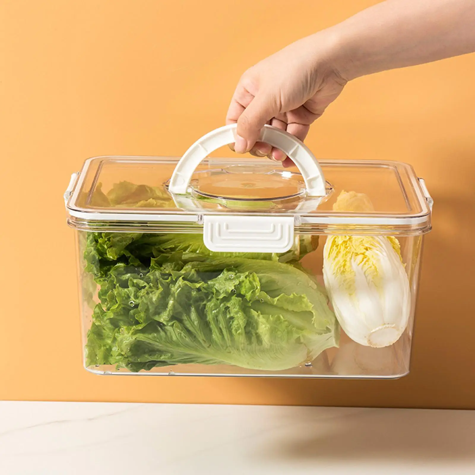 

Organizer Bins Food Grade Freezer Food Container for