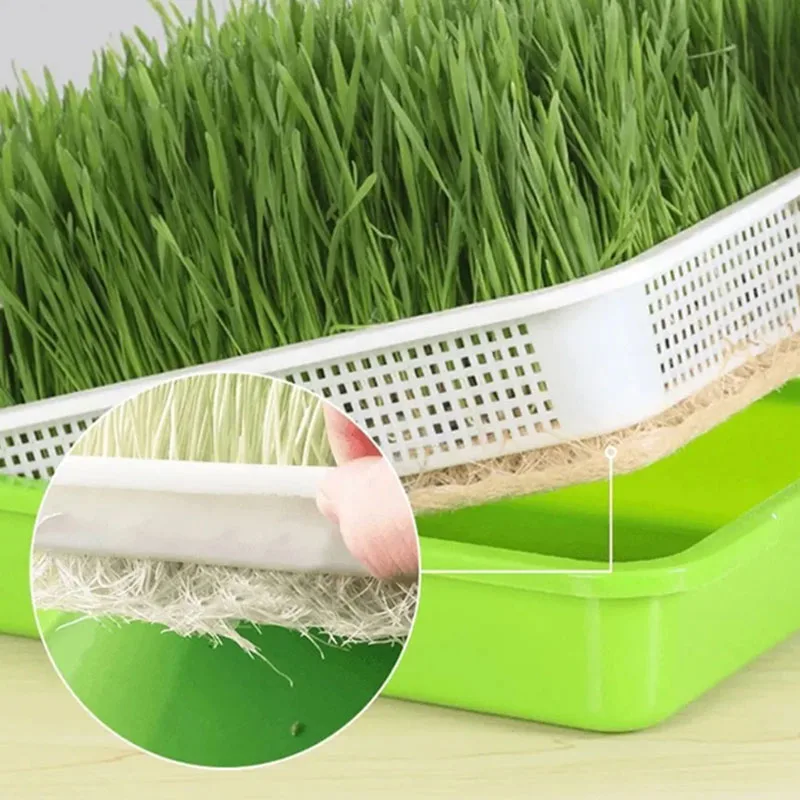 Лоток для выращивания растений Microgreens лоток и гидропонных систем