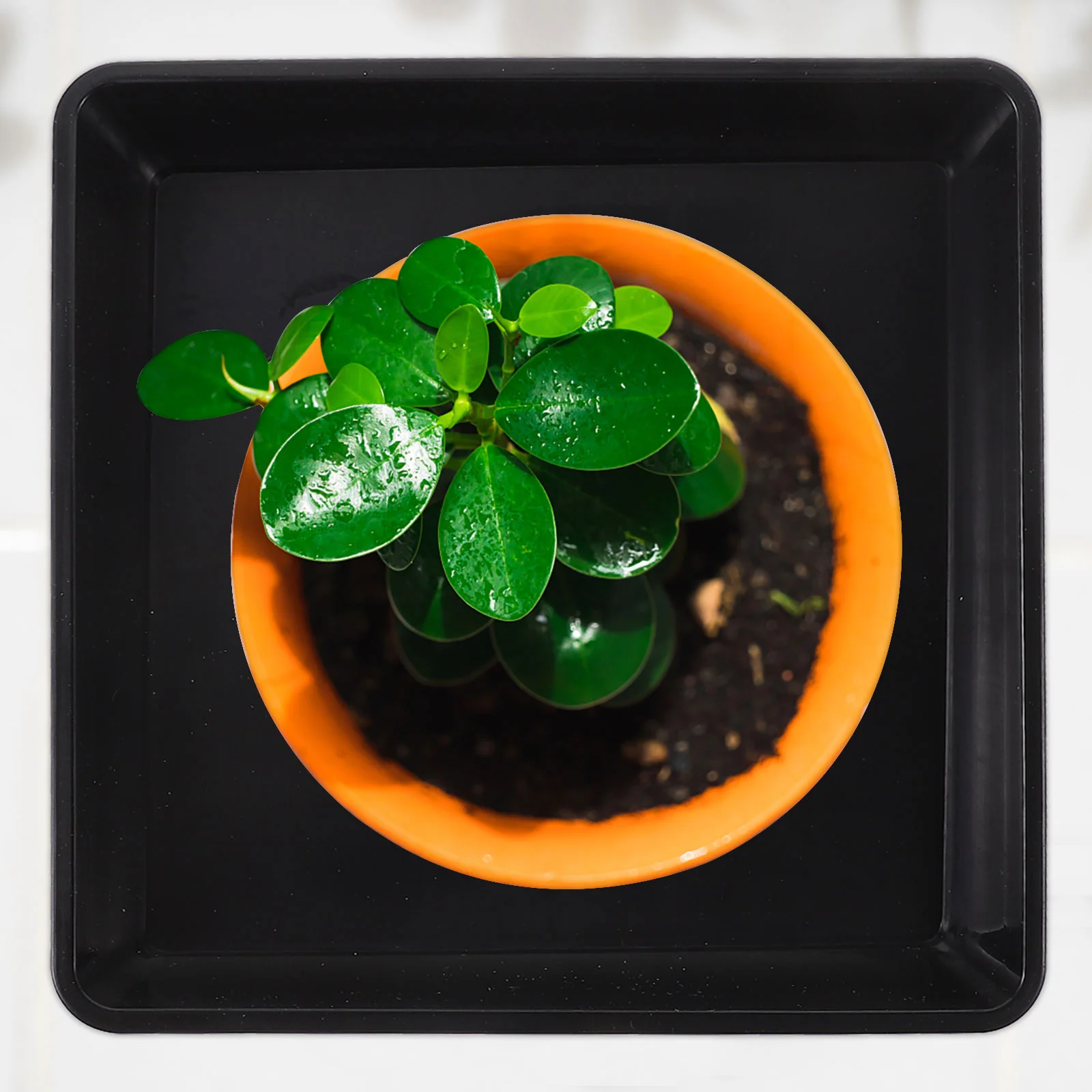

5 Pcs Flowerpot Support Black Square Plates Tray Basin Holder Pallet Plastic Raw Material Watering