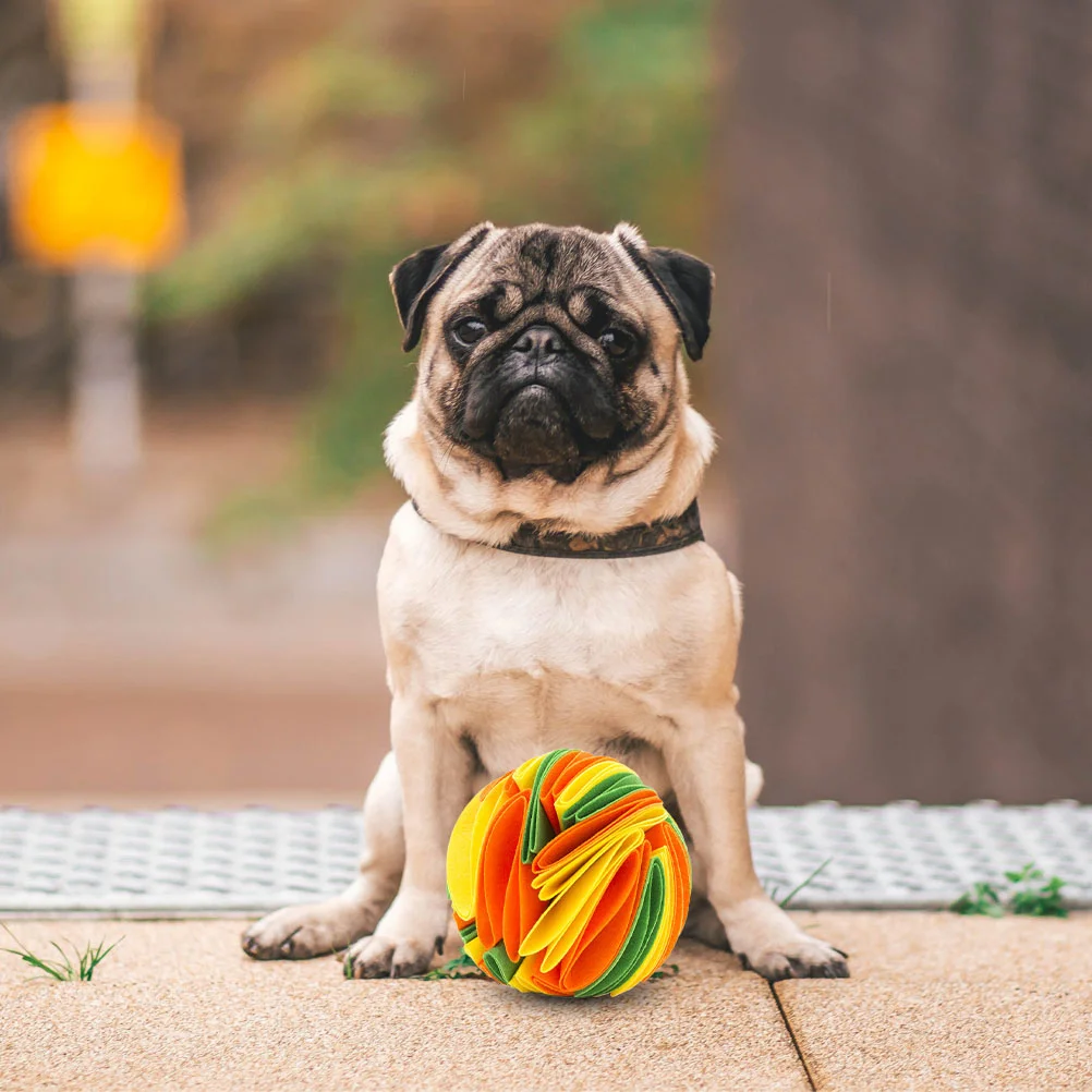 Игрушка для котенка нюхающий мяч собак игрушки утечка домашних животных корм