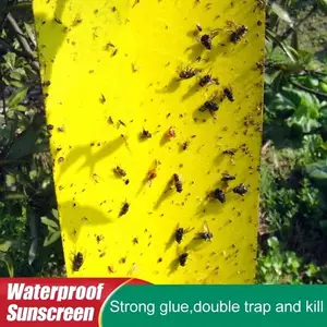 50/100 Pcs Strong Flies Traps Bugs Sticky Board Catching Aphid
