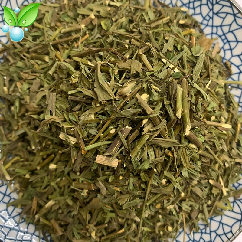 

Листья плевры чау Ху