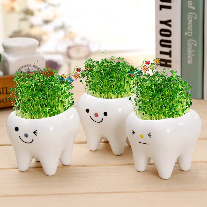 Cute Tooth Pot Vase Creative Ceramic Cartoon Tooth Flower Pot Succulent Flower Pot Home Decoration Crafts Dental Clinic Gift Toy