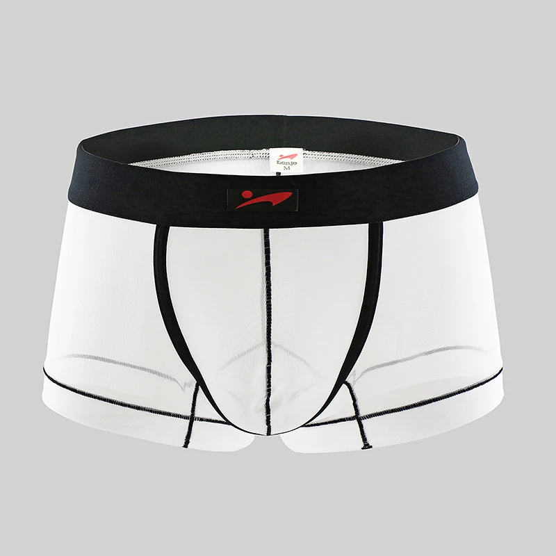 Men Boxer Mesh Sexy Underwear Transparent Panties Breathable Ultra Thin See-through Low Waist Slip Hombre U Convex Underpants