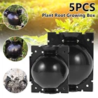 5 шт., коробка для выращивания растений