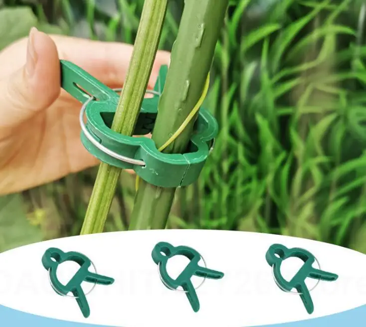 Пластиковые зажимы для поддержки цветов и растений держатель стебля орхидеи