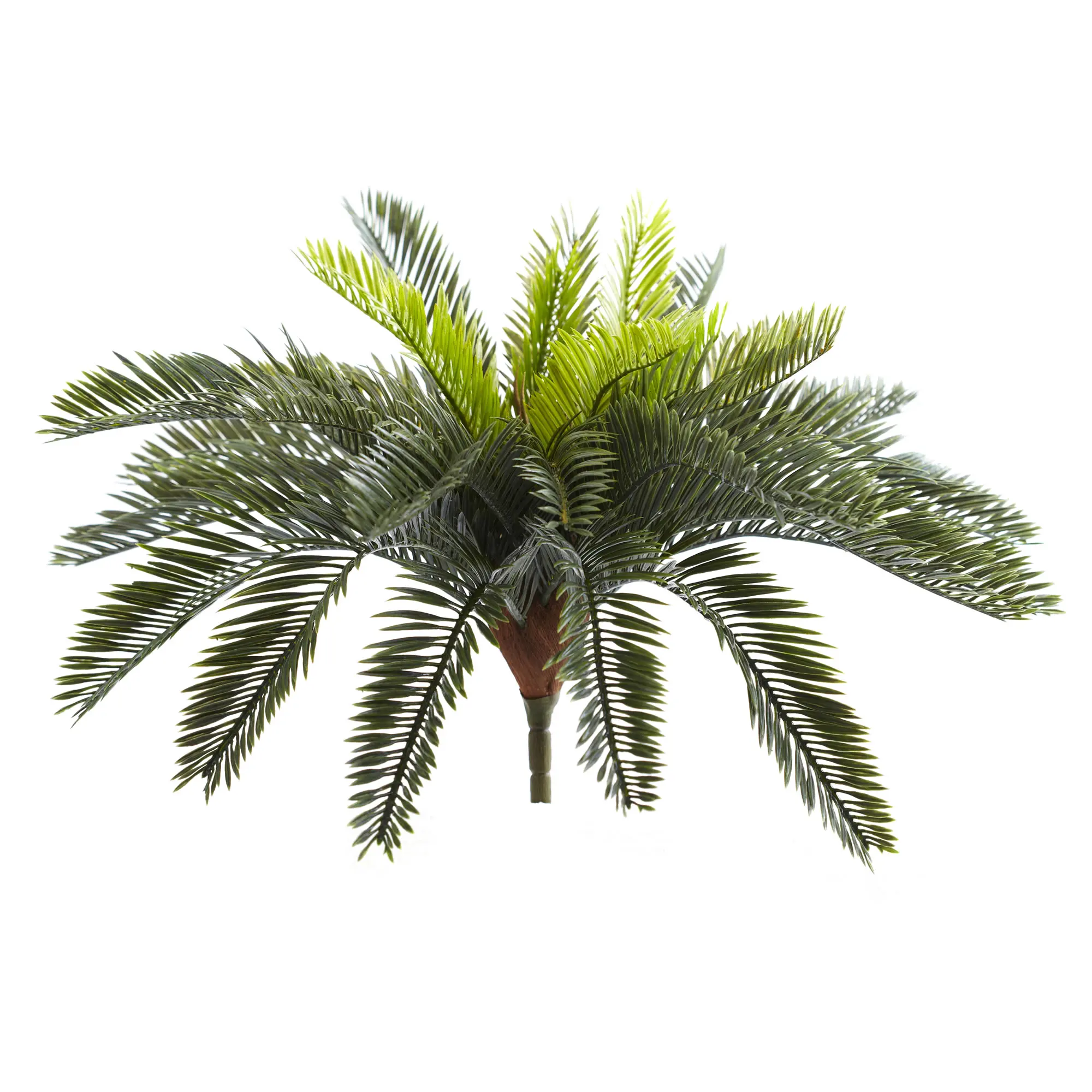 

13" Plastic/Polyester Cycas Artificial Plant (Set of 2), Green