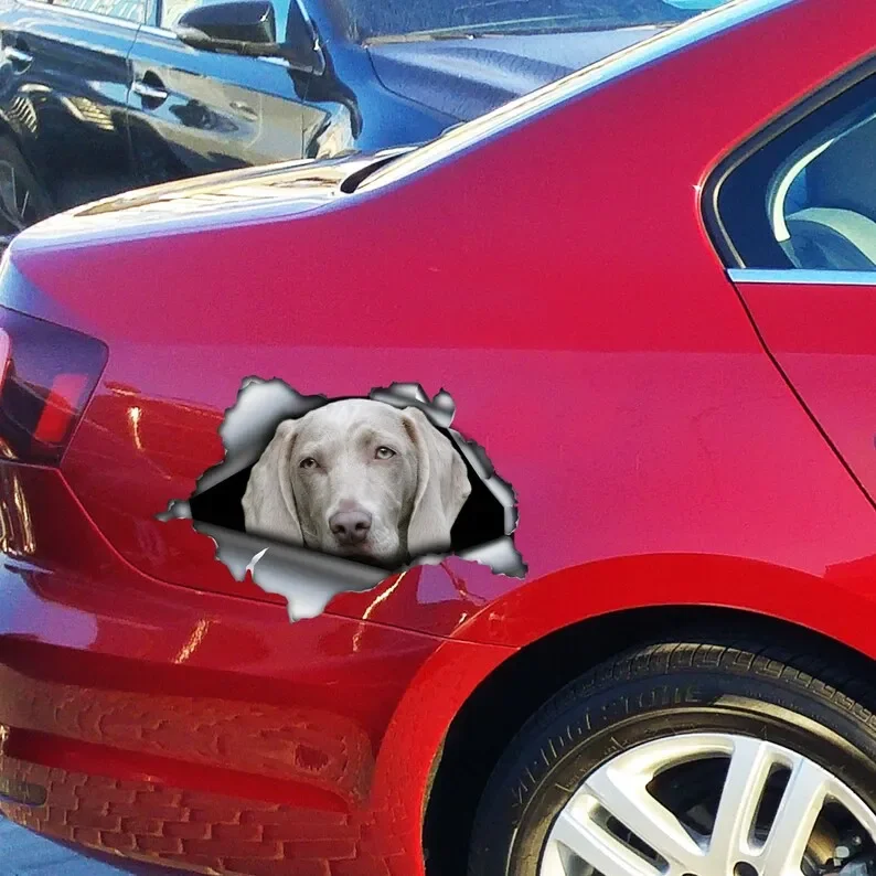 Серая наклейка на автомобиль магнит маслен масленник