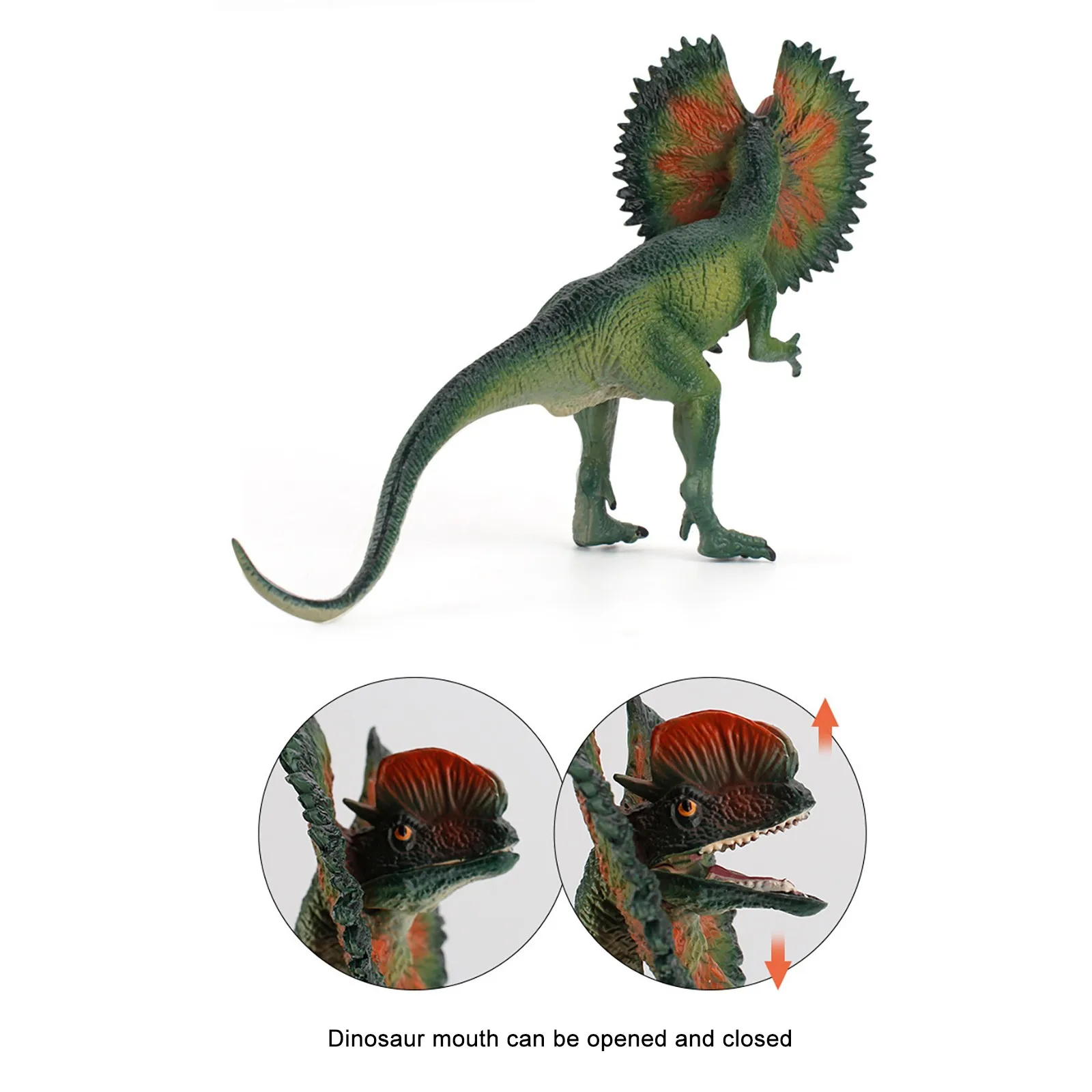 Realistic Dinosaur Model Lifelike Dilophosaurus Dinosaurs Figure Playset Gift Action Figures Model Toys for Children Gifts images - 6