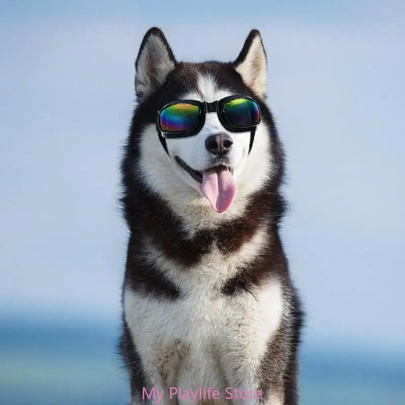

Foldable Dogs Sunglasses for Small Medium Long Snout Dogs UV Protections Goggles with Adjust Strap Dogs Eyewear