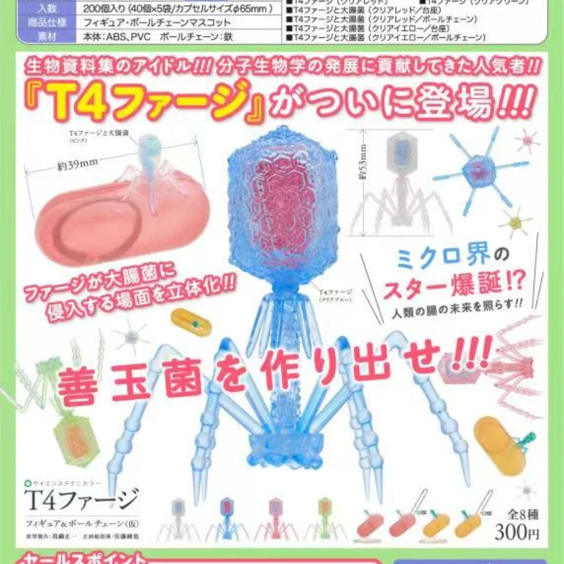 

Original IKIMON Gashapon Cute Simulation Biological Cell Escherichia Coli T4 Phage Pendant Model Kawaii Capsule Toys Gift