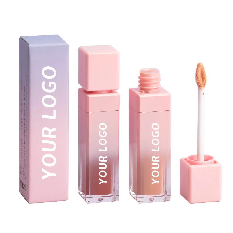 Lip Glaze No Logo Optional Package Liquid Lipstick Velvet Square Pink Gradient Tube beauty  make up Dmg20