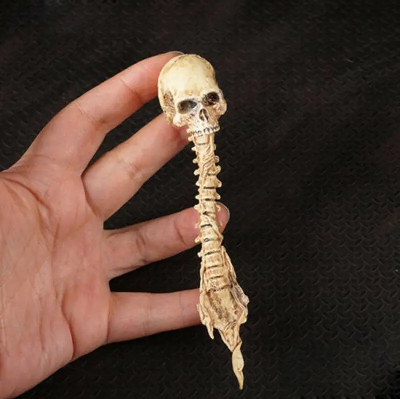 

B4-5 1/6 Scale SKULL model For 12"