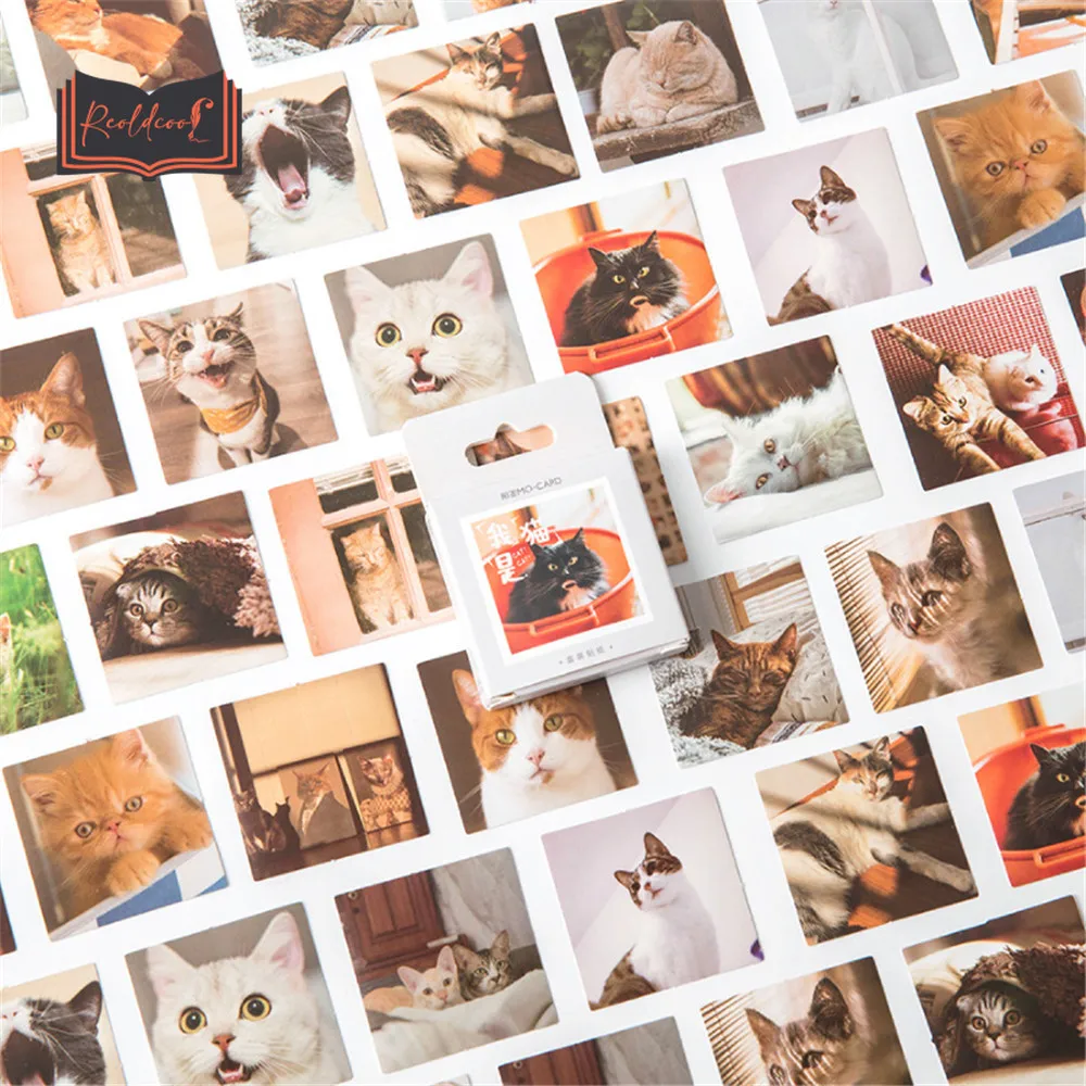 

46 шт./коркор. милые Мультяшные Стикеры с котами кавайные DIY Скрапбукинг ручная учетная запись украшения для журнала Канцелярские Стикеры