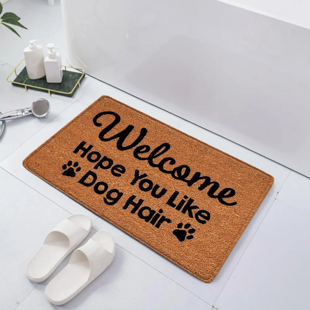 

Carpet Thickened Anti-slip Entry Mat Quick Water Absorption Non-fading Indoor Outdoor Doormat for Home Kitchen Bedroom Room Fun