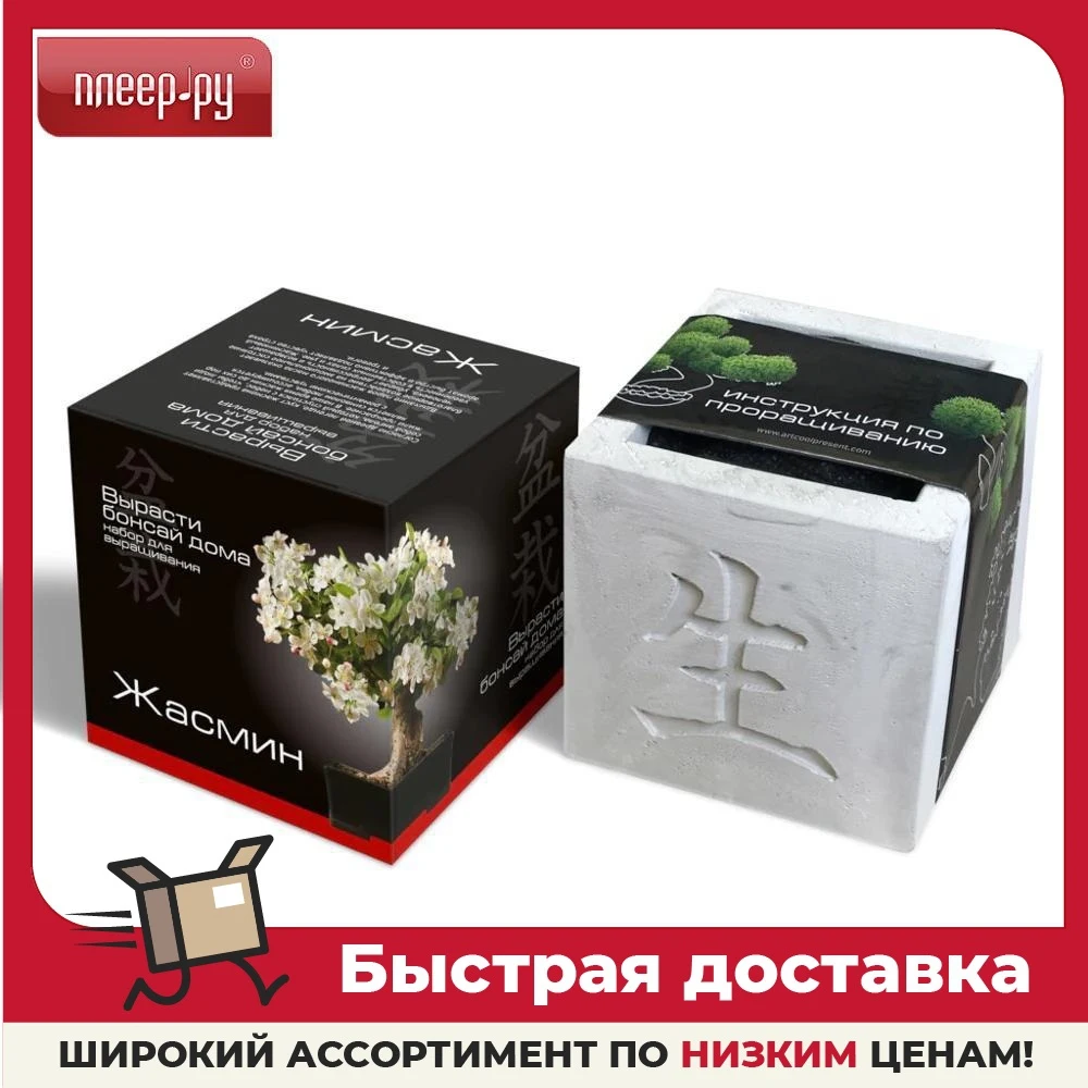 Растение ЭкоДом Вырасти Бонсай дома Жасмин В дизайнерском кубике ручной работы |
