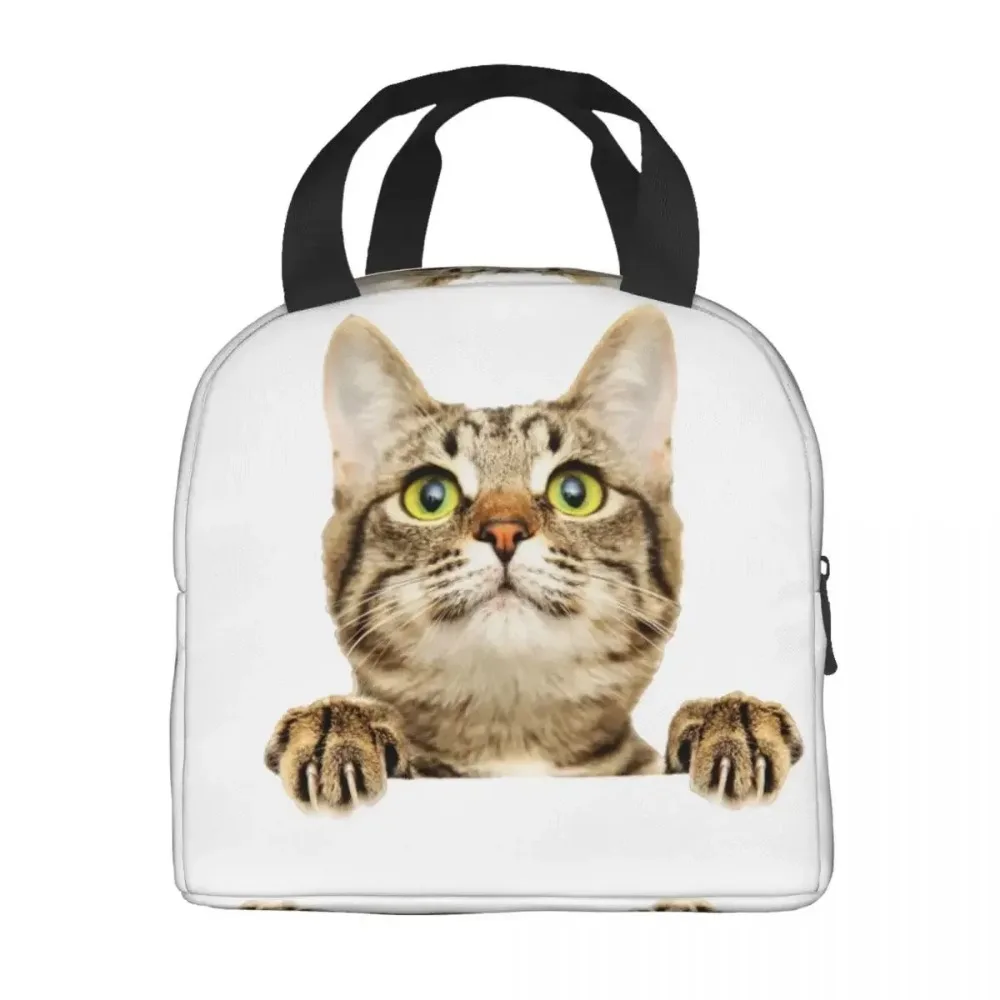 Сумка для обеда с забавным котом женщин и детей портативный термохолодильник