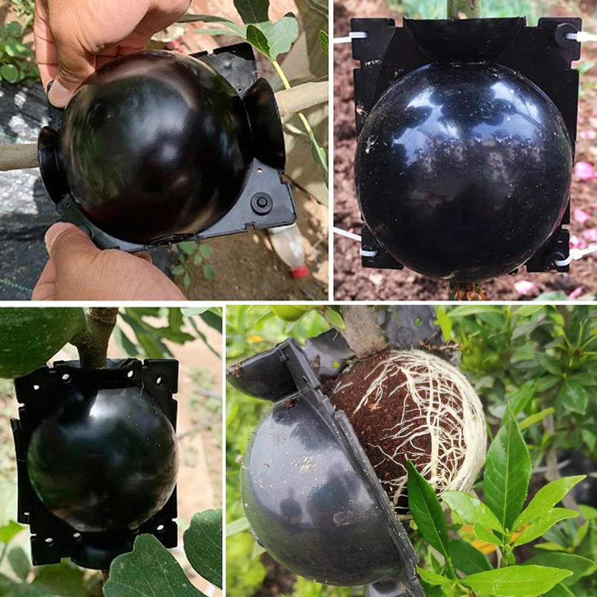 Устройство для резки и укоренения коробки высокого давления растений