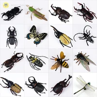 plastic simulation insect butterfly specimens simulation small animal model hercules beetle known specimen tianniu dragonfly