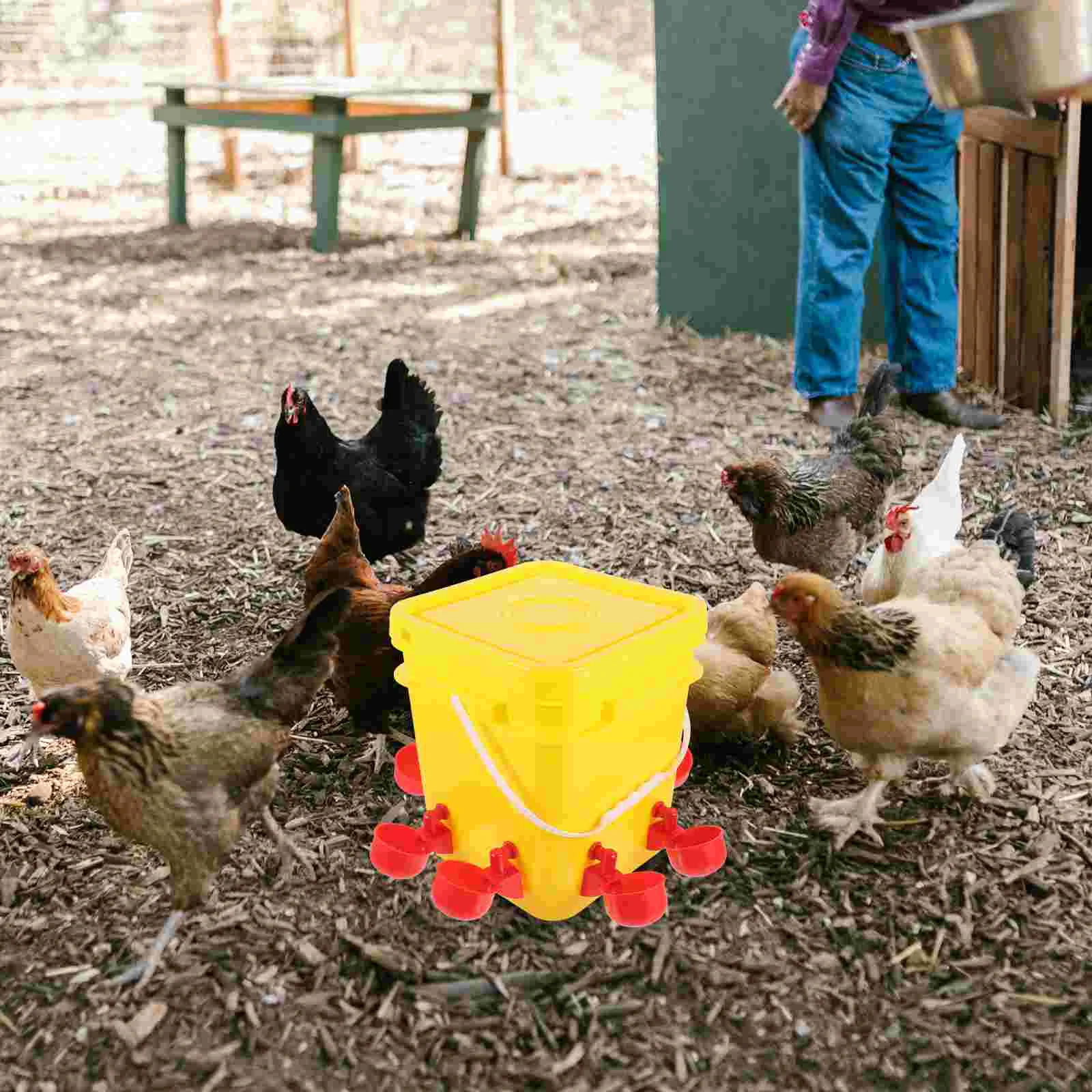 

Кормушки для цыплят автоматический контейнер для пищевых продуктов для домашней птицы, пластиковая банка для цыплят