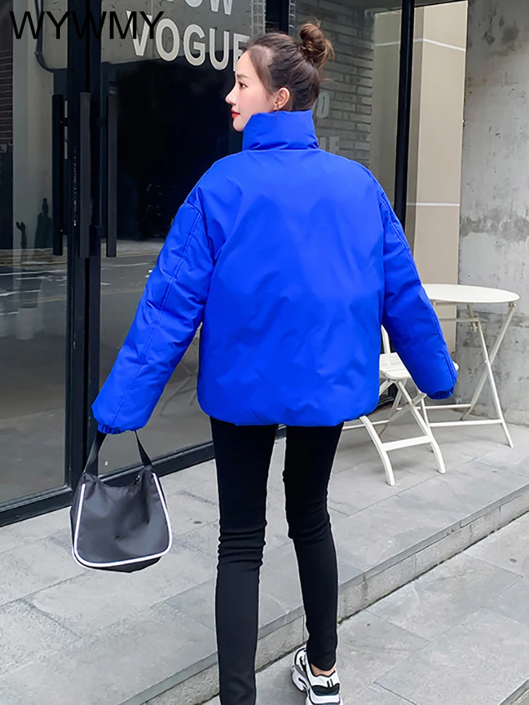 Korean Chic Winter Jacket Women Parkas Double Pocket Stand Collar Warm Thicken Zipper Drawstring Short Jacket Winter Women Coat