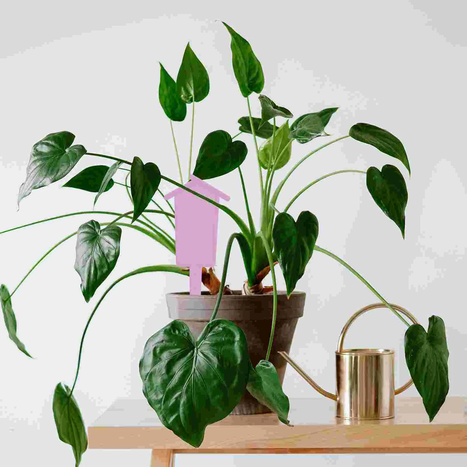 60 шт. садовые этикетки для растений в горшках пластиковые маркеры декор цветок