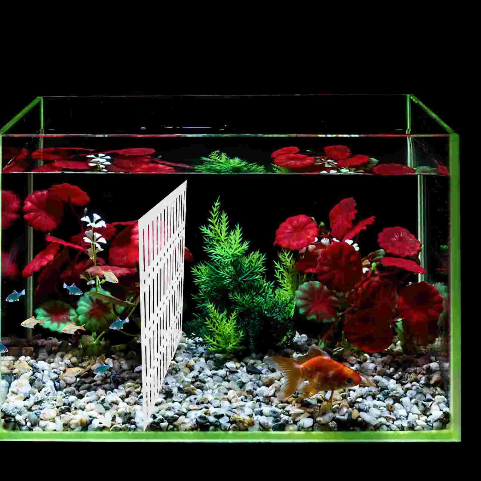 Перегородка изолирующая доска для аквариума разделитель фильтрующая сетка