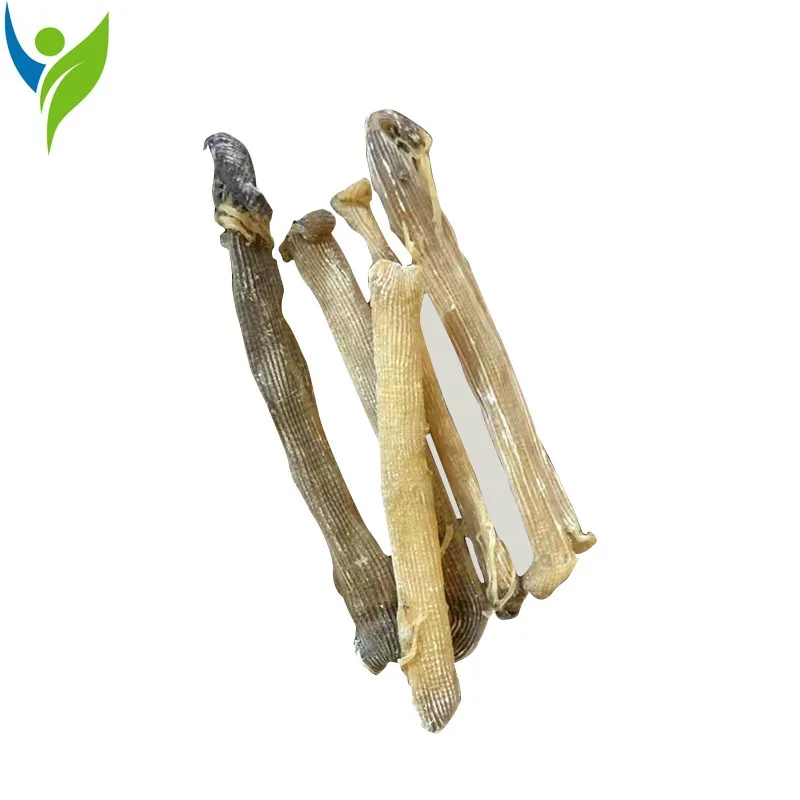 

natural dried seafood Wild Dried Sipunculus Nudus,Peanut Worms