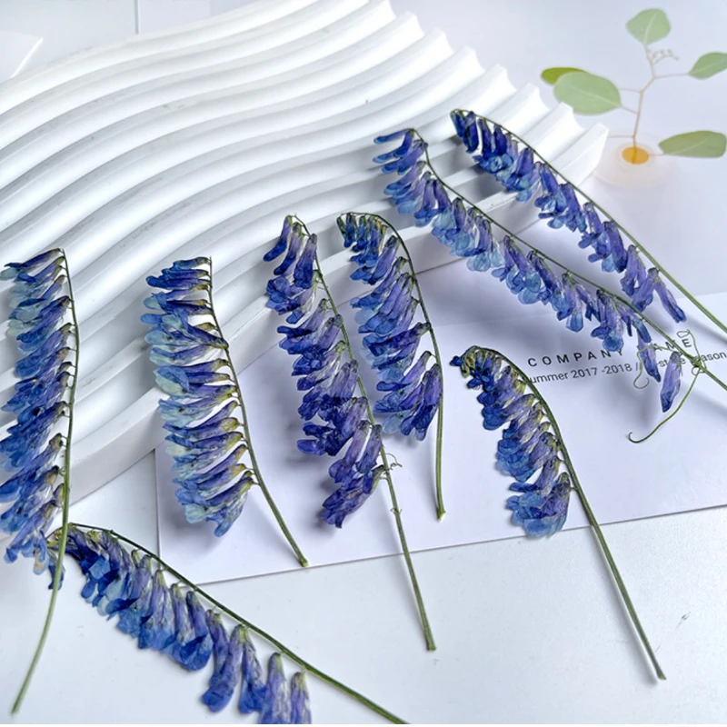 

100 шт./6-10 см, прессованный свисток, цветок, цветок, подставки, КАПЛЕВИДНАЯ жвачка, наклейки на день ребенка, фоторамки, закладки, карты