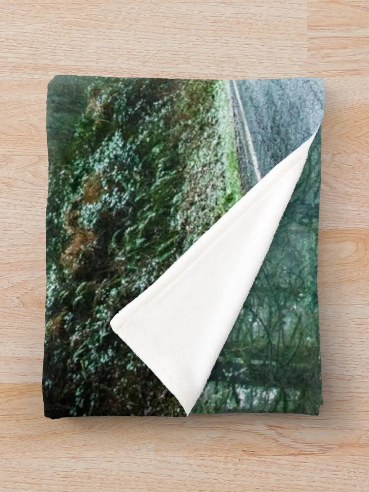 Forest Road Trip - Foggy Day Fir Trees Pacific Northwest Adventure Плед Роскошные пледы и Одеяла