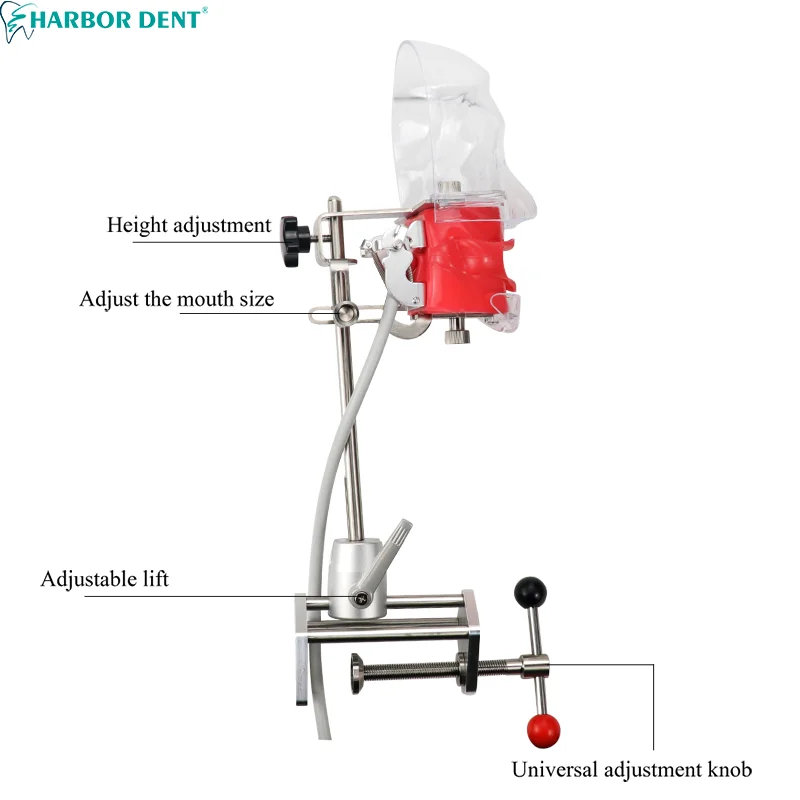Стоматологическая фотоформа с 28 зубцами зажим настольного типа Фантом манекена