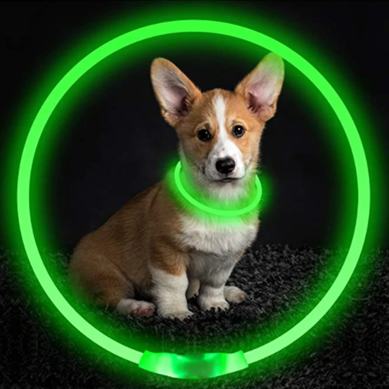 Led Glowing Dog Collar Luminous Adjustable Night Light Harness Leash For Girl Small Dogs Cat Pet Safety Accessories | Дом и сад