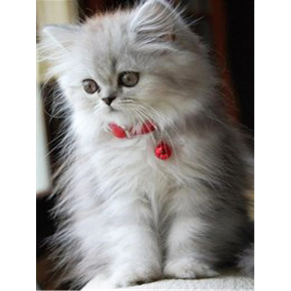 

Набор для алмазной вышивки 5D «Кот»