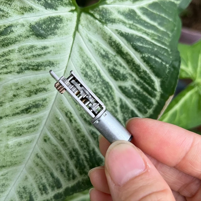 

Редукторный двигатель FF-M20-06225 M20 3-5В 15 об/мин