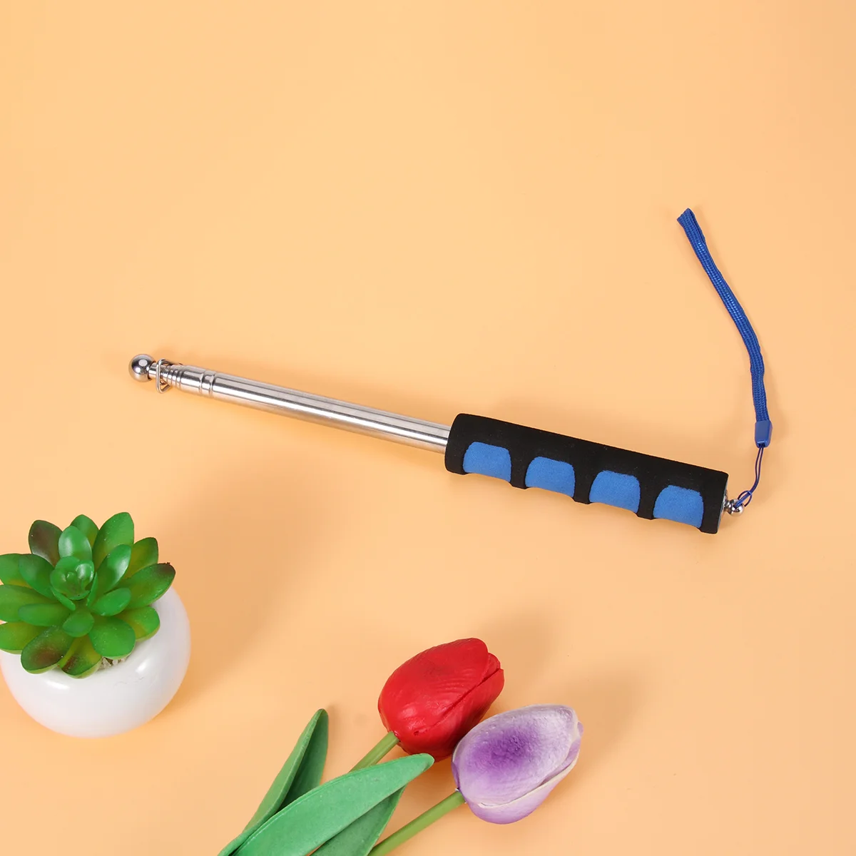 

Telescopic Rod Hand Pointer Teacher Hand Pointers Stainless Steel Flag Pole Telescopic Teachers Pointer