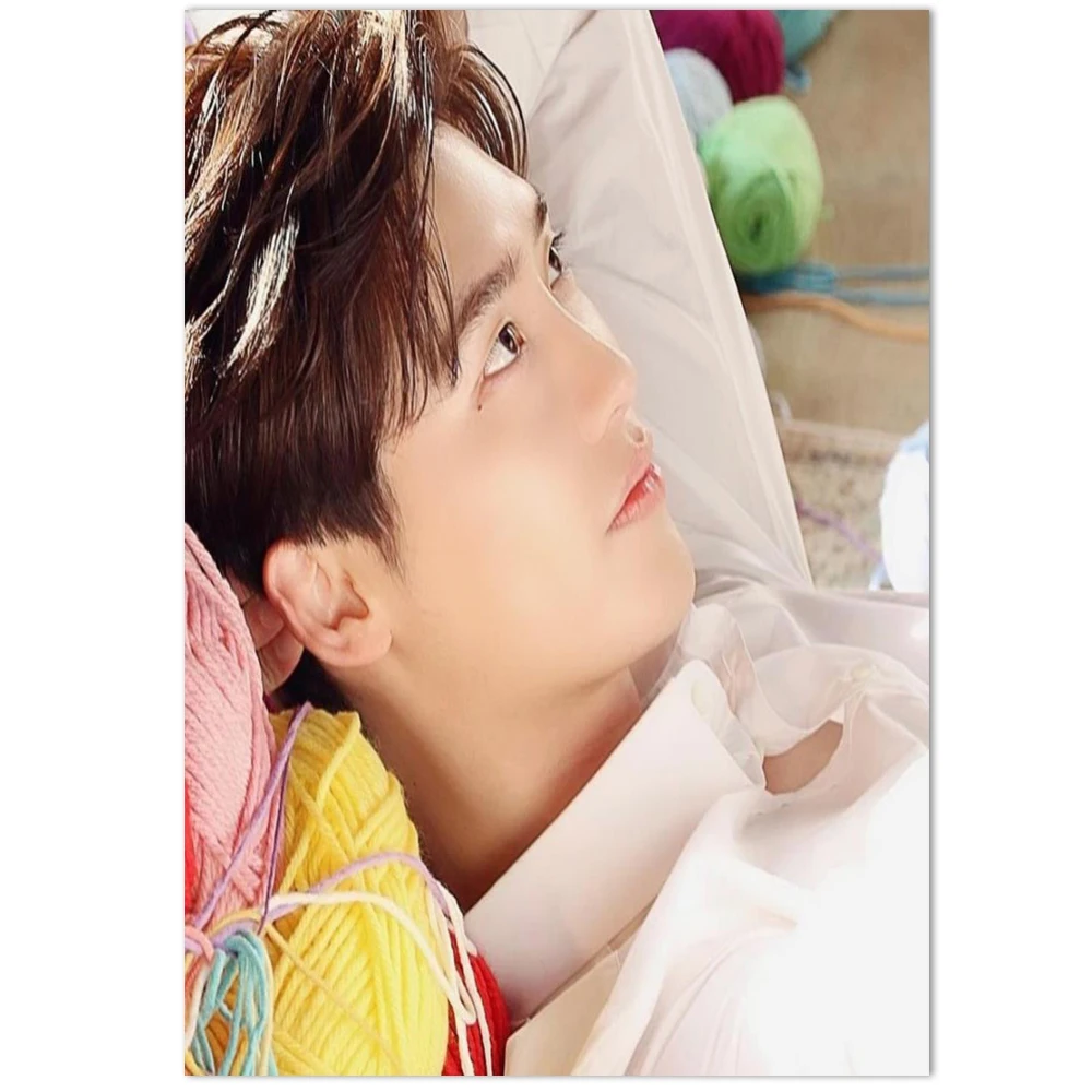 Настенная Картина на холсте ли-Чен-Сук-плакаты и принты настенные картины для