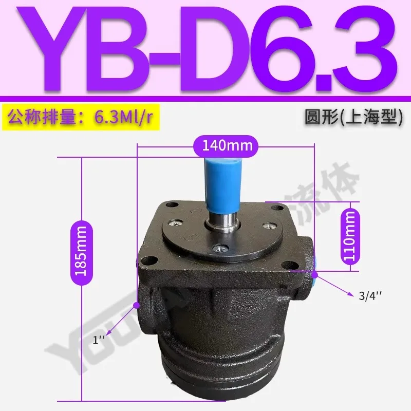 Фото YB-D6.3 Лопастной насос D4 D2.5D10 D12 D16 D20 D25 D32 D40 YBD50 63 80 100 №2