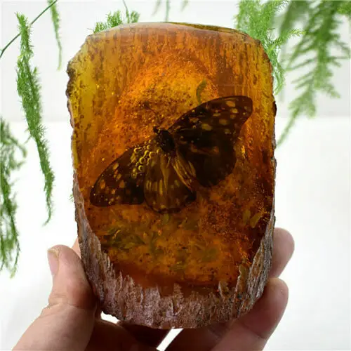 

Amber King Fossil Plants Insects Characteristics Butterfly Decorative Pieces