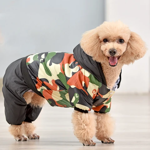одежда для маленьких собак недорого