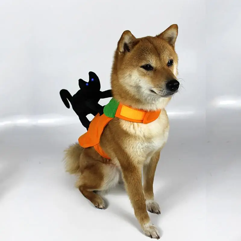 Забавный костюм кошки Райдера собаки для маленьких и больших собак женская