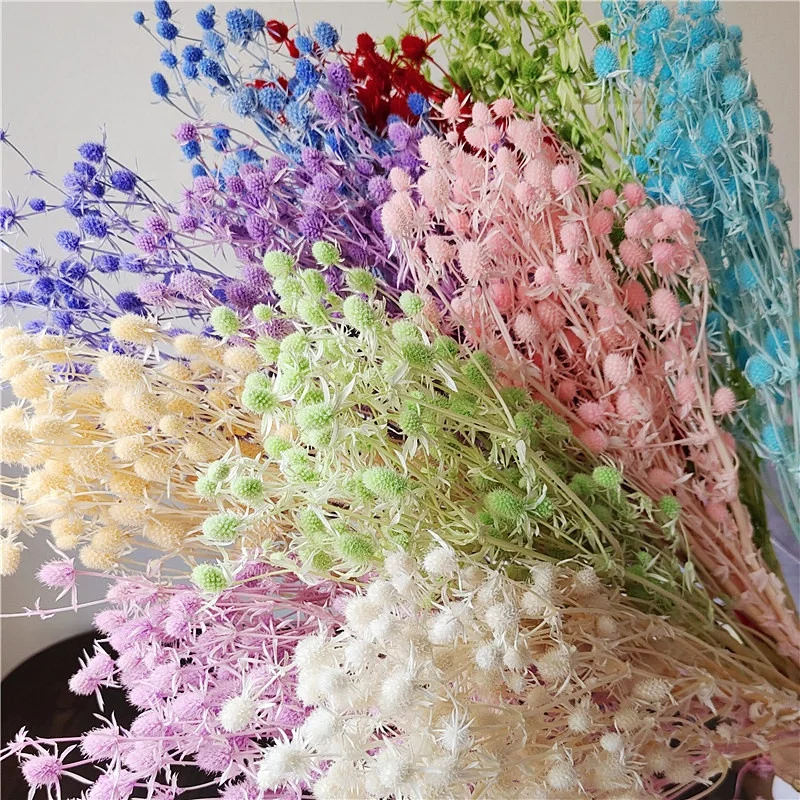 

Preserved Valentine's Fruit Dry Floral Arrangement Natural DIY Material,Wedding,Table Vase Decor,Home Office Party Decoration
