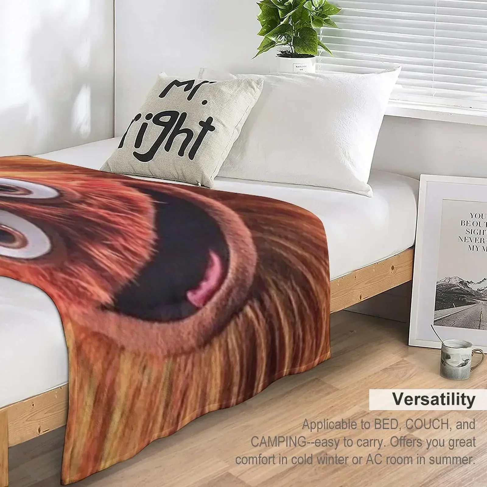 Флаеры Новый Талисман Грети Пледы Декоративные Роскошный Дизайнер Диван Аниме